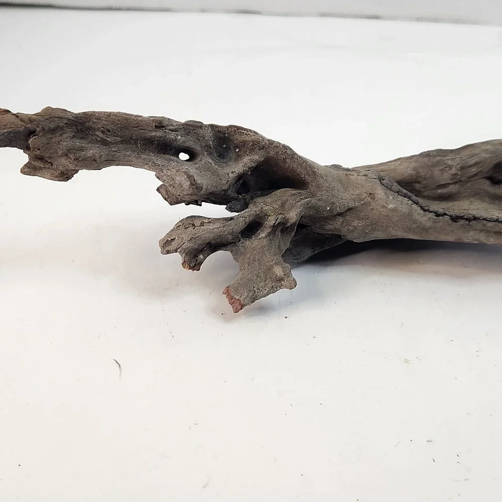 Natural driftwood for aquarium/terrarium/arts and crafts/Taxidermy 12